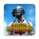 pubg兼容版