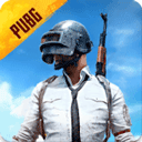 pubg国际服2024